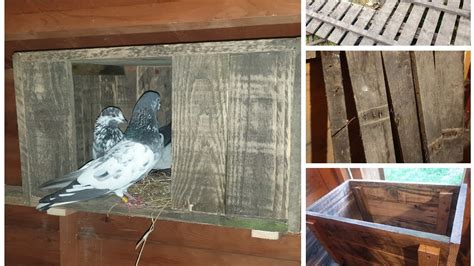 youtube installing metal pigeon nest box|Basic pigeon nest box build .